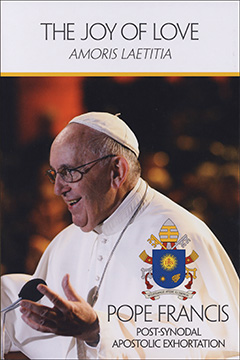 The Joy of Love a rich reflection on the mission of the family and on how the Church can equip couples to embrace God's vision for marriage and can offer healing for families who are struggling.